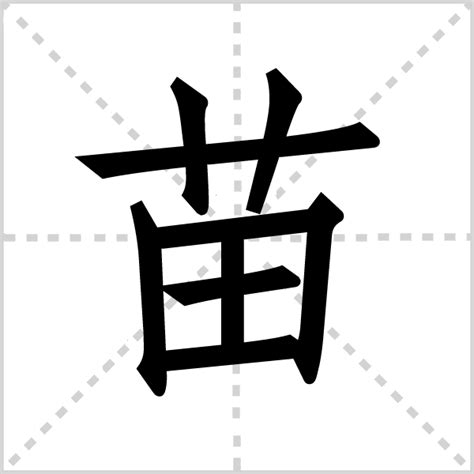 屬 苗字